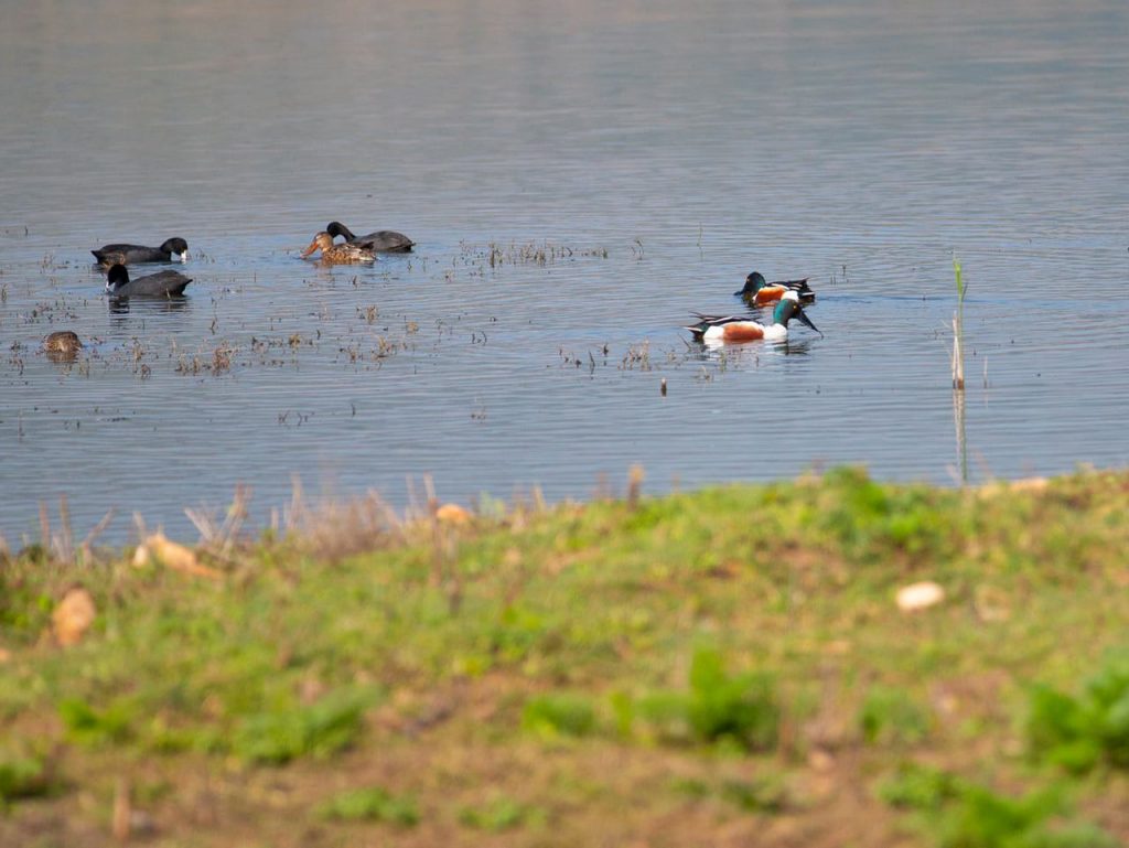 Hula Nature Valley Reserve