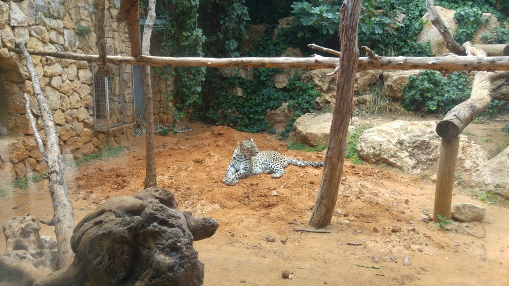 Jerusalem Zoo