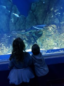 Jerusalem Aquarium