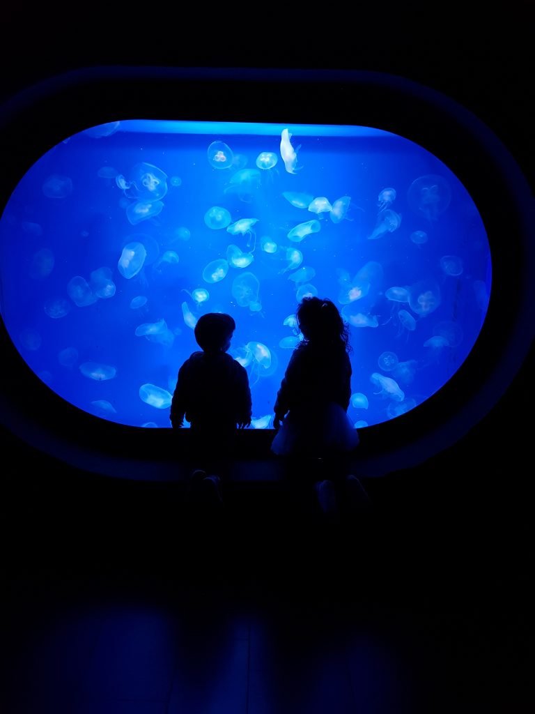 Jerusalem Aquarium